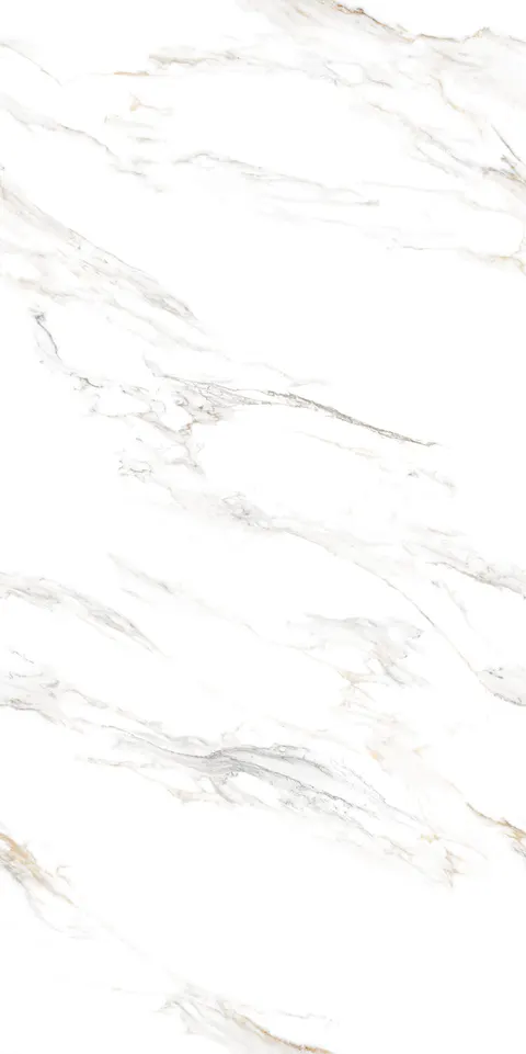 JAYDEN PEARL CONV view 6